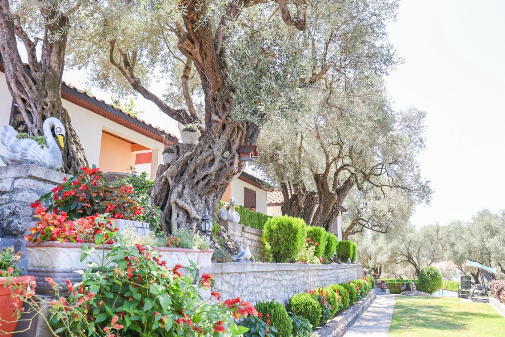 Hilja'S Oliven Garden Bungalows Ulcinj Buitenkant foto