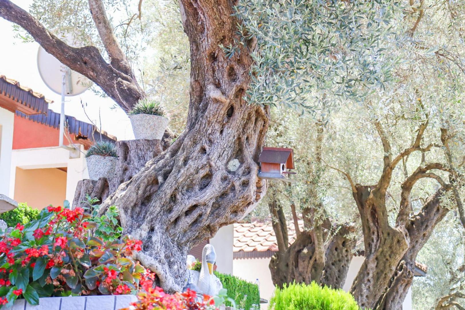 Hilja'S Oliven Garden Bungalows Ulcinj Buitenkant foto