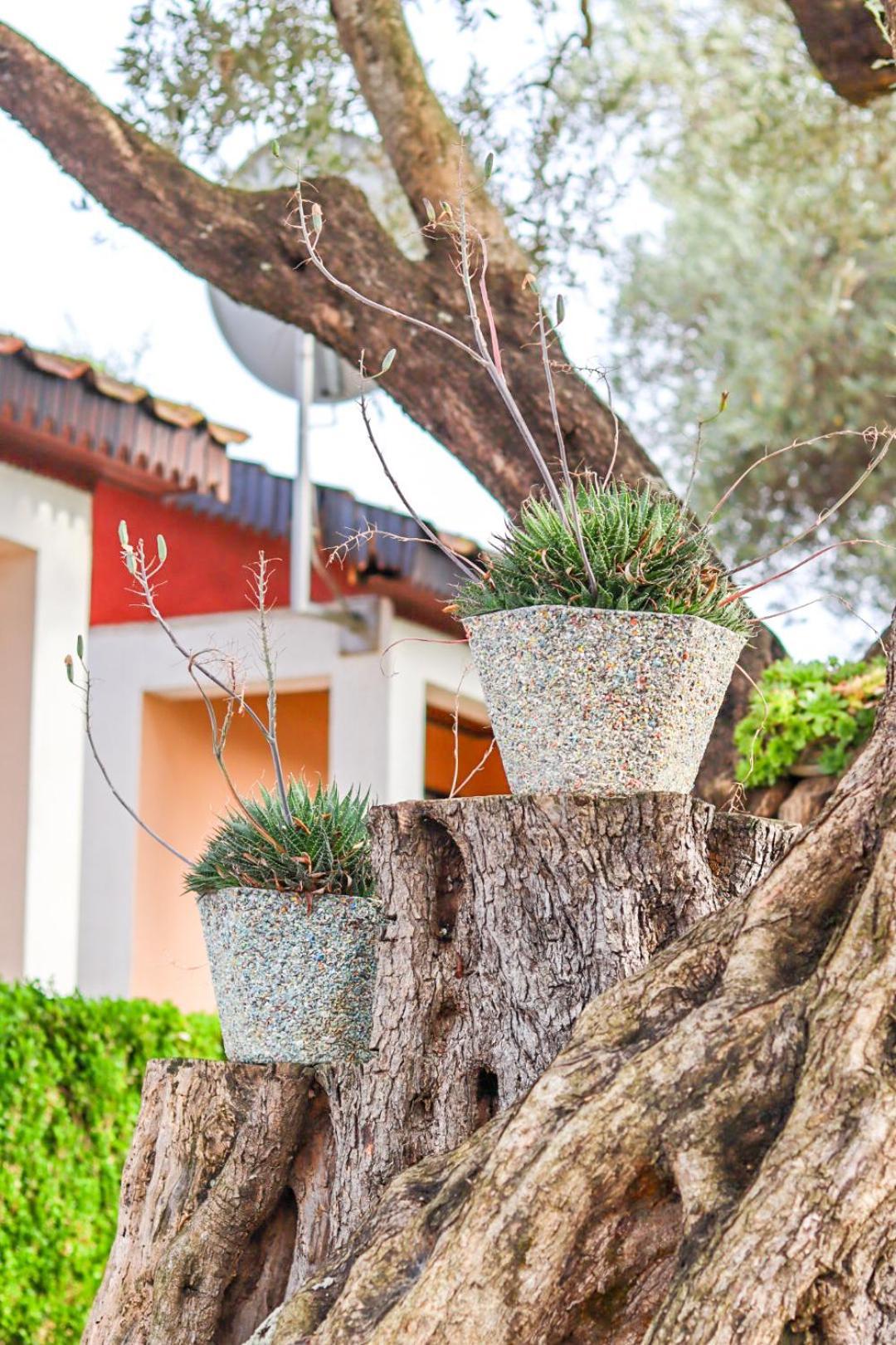 Hilja'S Oliven Garden Bungalows Ulcinj Buitenkant foto
