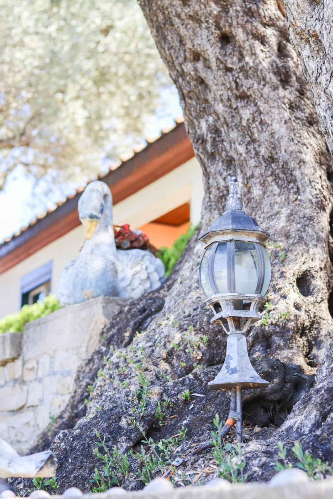 Hilja'S Oliven Garden Bungalows Ulcinj Buitenkant foto