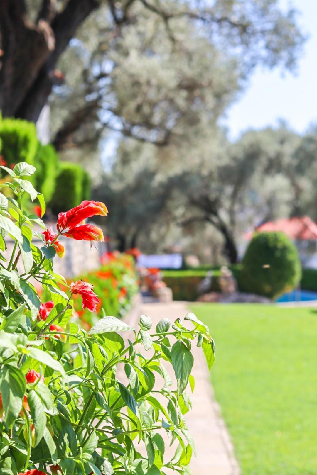 Hilja'S Oliven Garden Bungalows Ulcinj Buitenkant foto