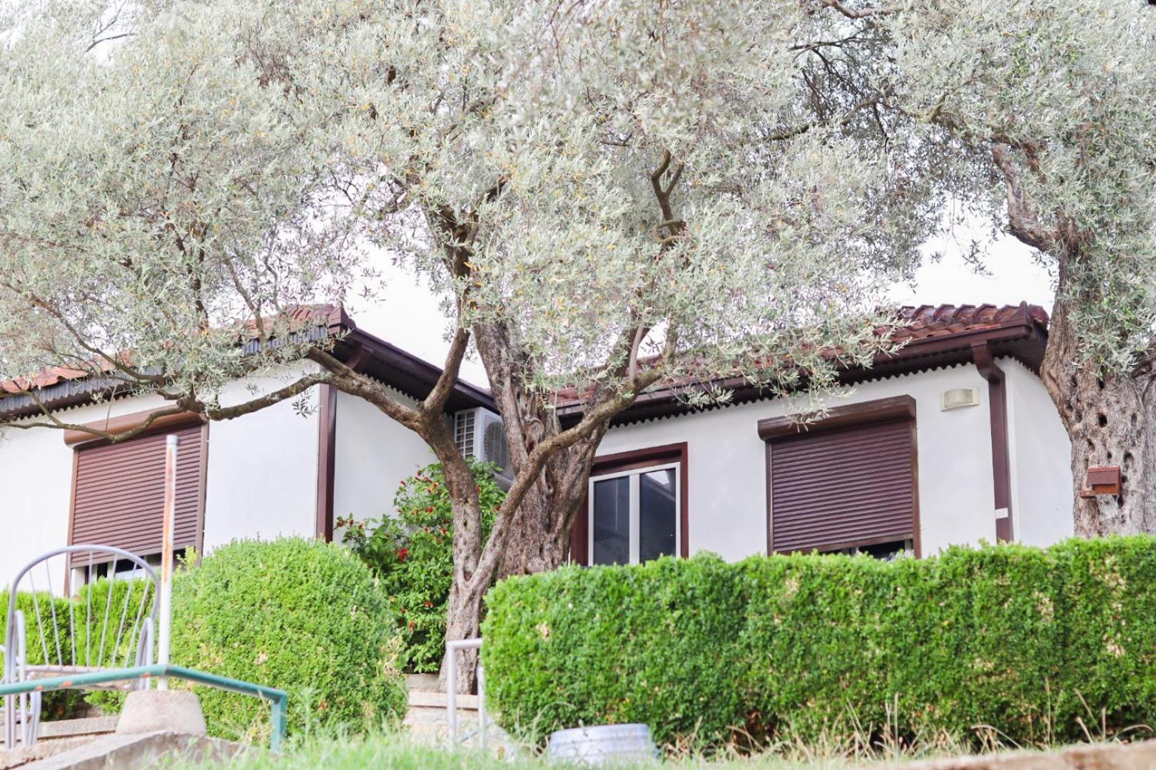 Hilja'S Oliven Garden Bungalows Ulcinj Buitenkant foto