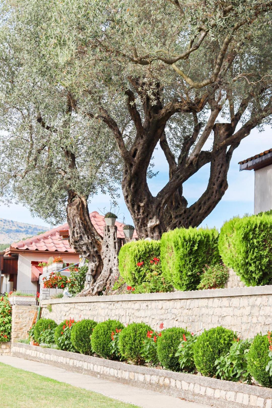 Hilja'S Oliven Garden Bungalows Ulcinj Buitenkant foto