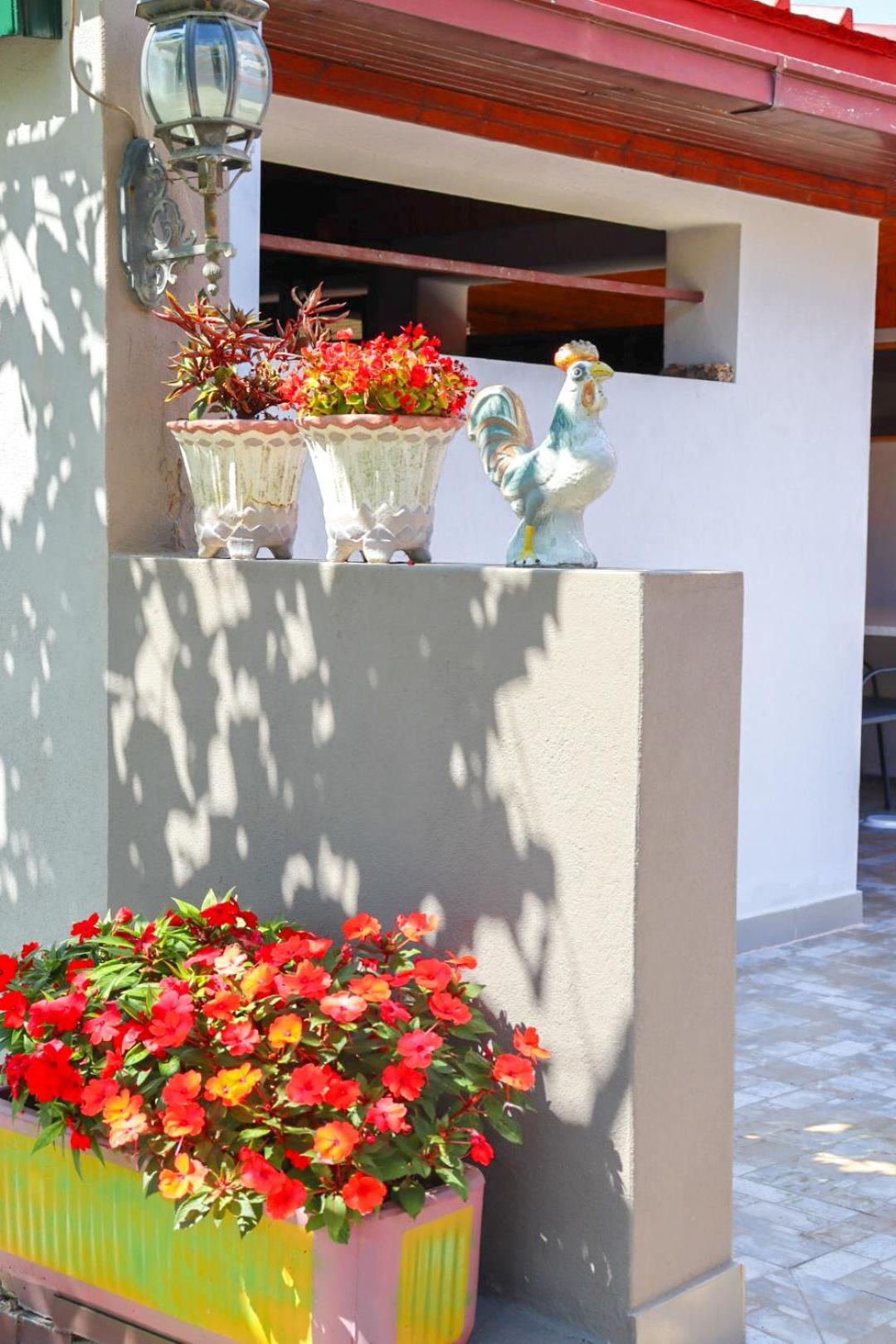 Hilja'S Oliven Garden Bungalows Ulcinj Buitenkant foto