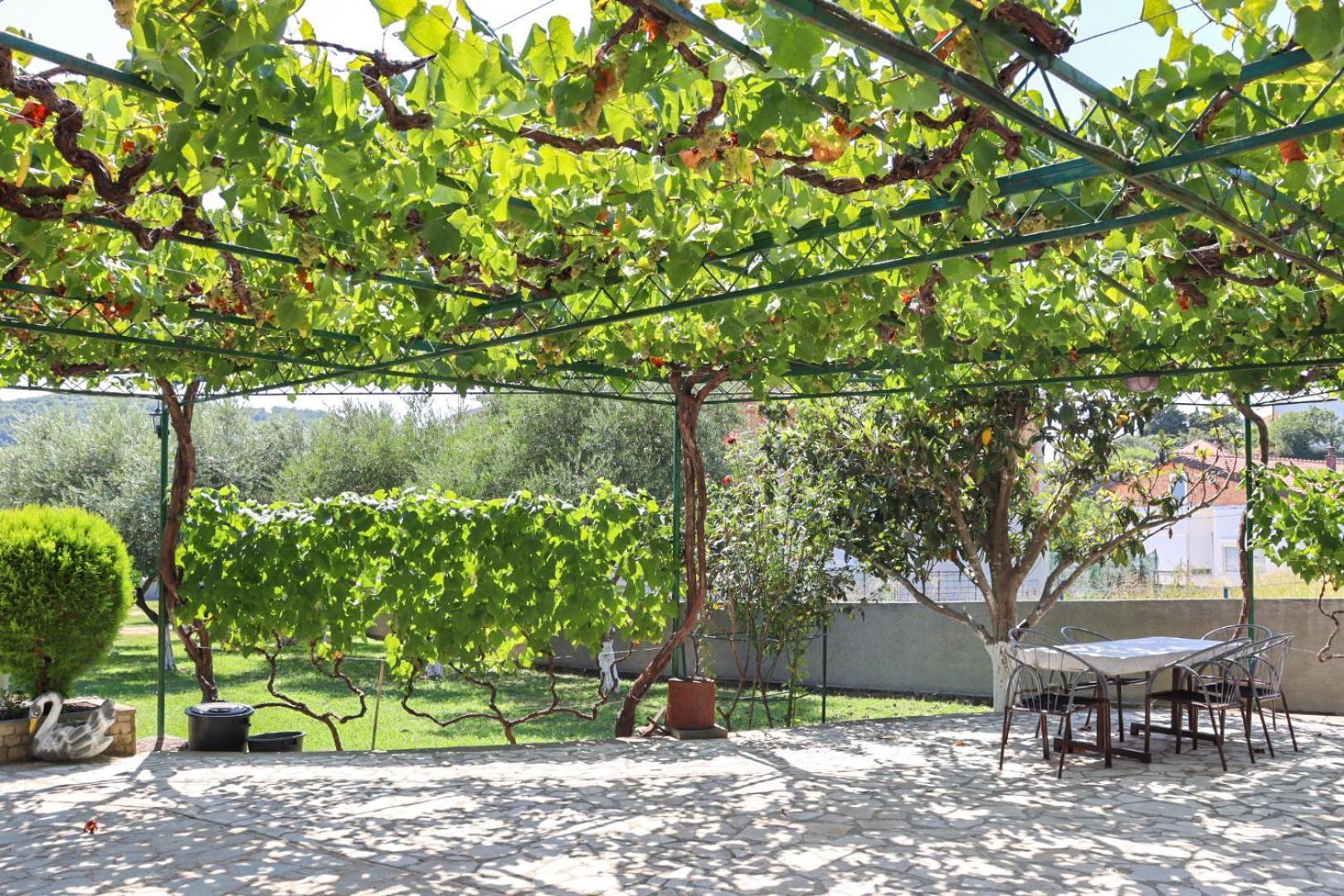 Hilja'S Oliven Garden Bungalows Ulcinj Buitenkant foto
