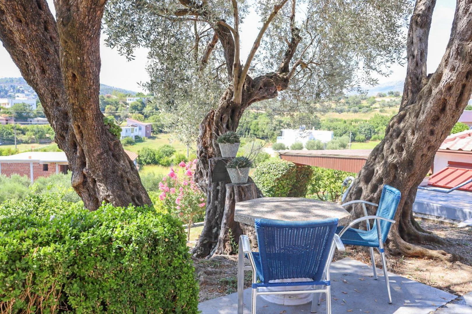 Hilja'S Oliven Garden Bungalows Ulcinj Buitenkant foto