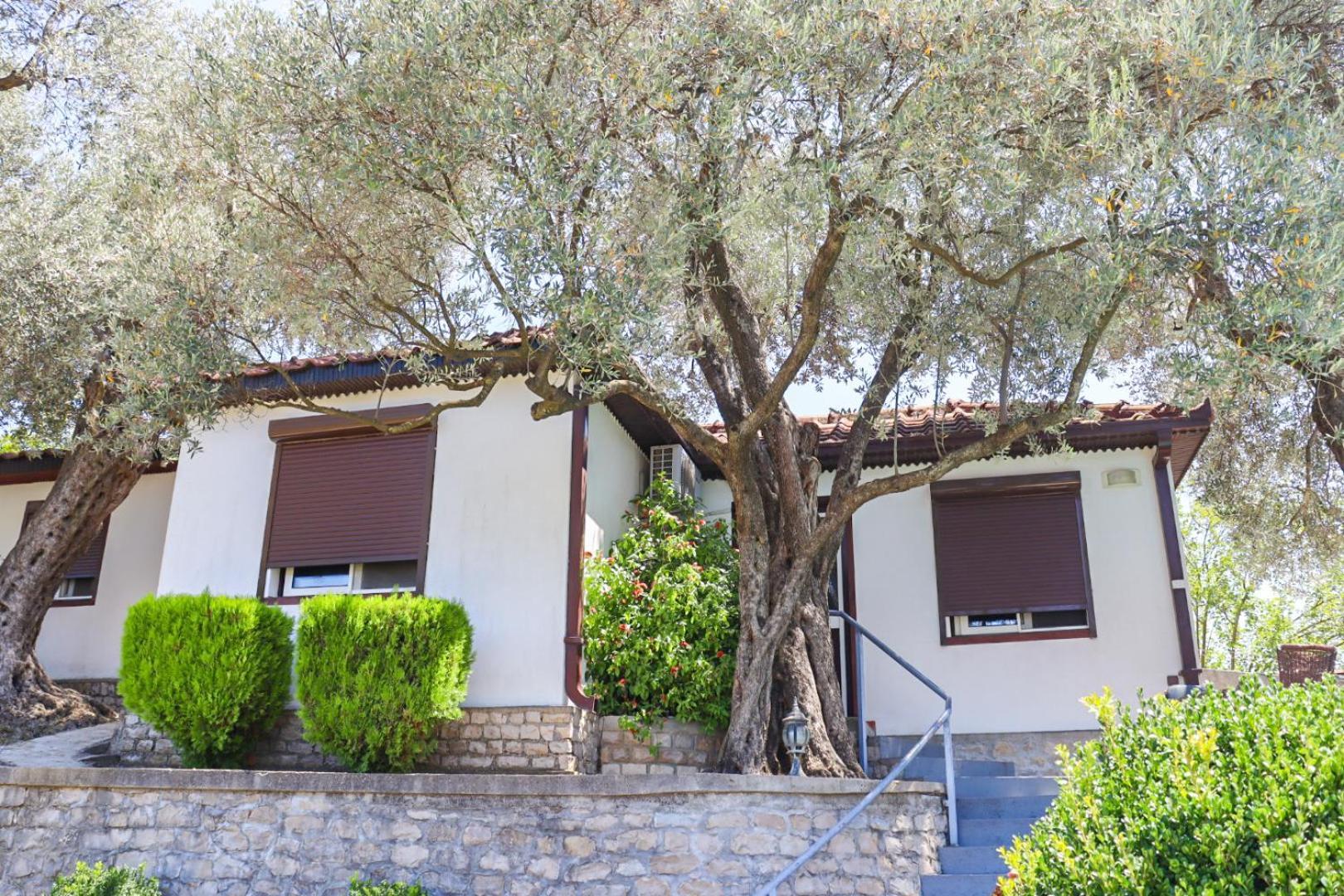 Hilja'S Oliven Garden Bungalows Ulcinj Buitenkant foto